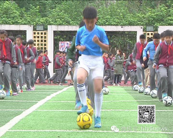 对阵容和打
